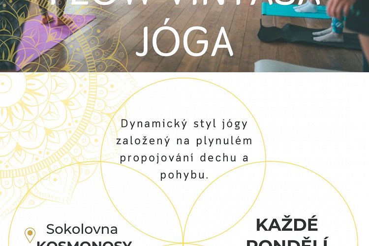 2024-09/6213/plakat-kosmonosy-flow-vinyasa1.jpg