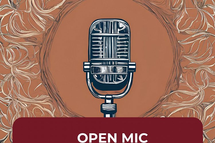 Open Mic vol. 2 v Pluhárně